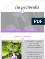 Justicia pectoralis: planta medicinal usada pelos índios Tapebas
