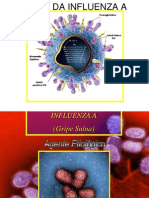 Influenza1 A