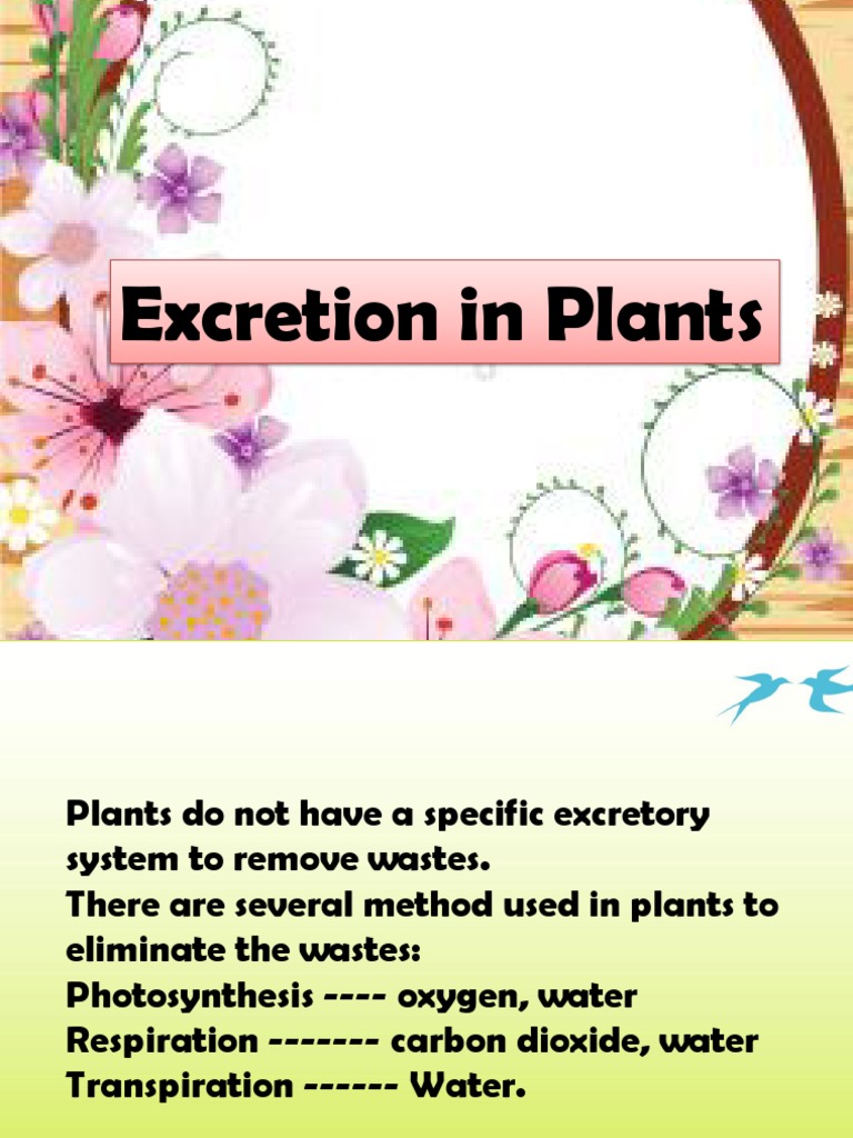 Excretion Methods in Plants | PDF | Excretion | Physiology