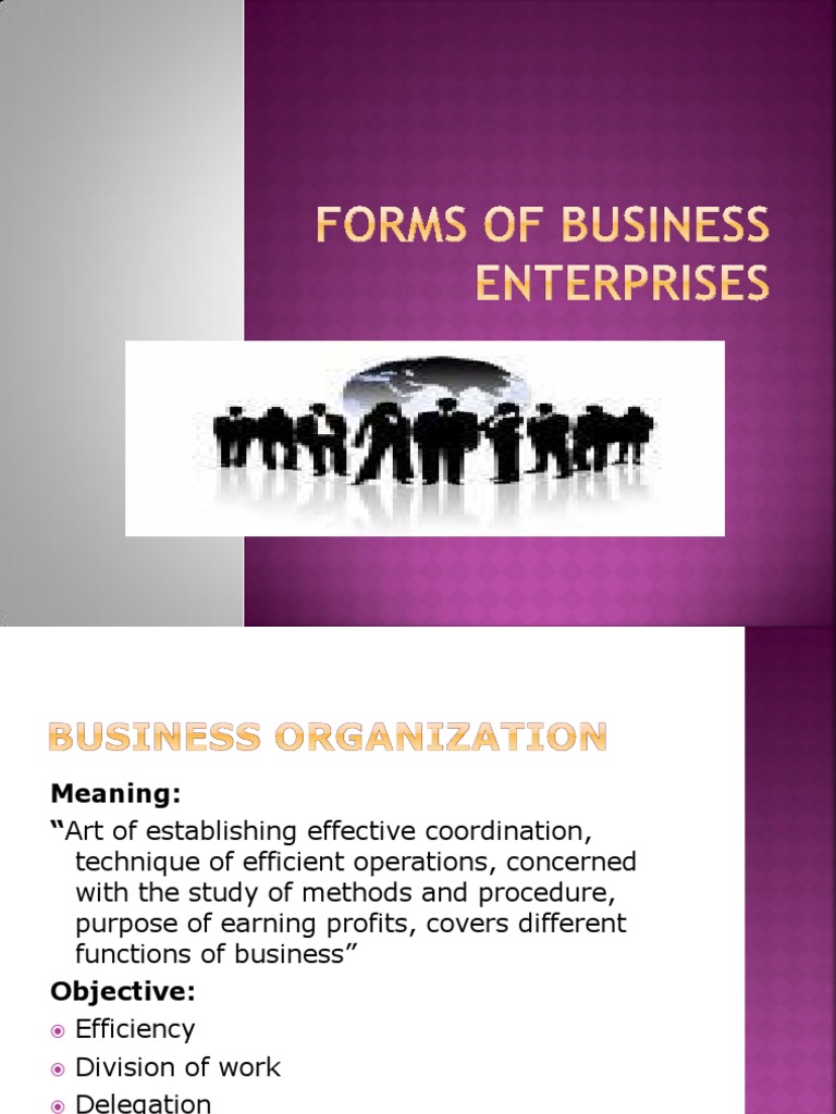 Forms of Business Enterprises PDF Partnership Limited Liability