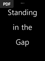 Standing in the Gap_Edition 1.8