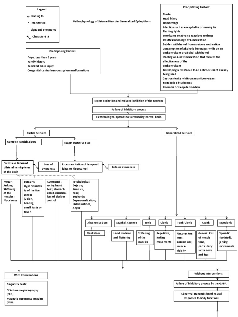  Pathophysiology of Status Epilepticus | Epilepsy | Medical Specialties