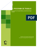 Ejemplo Programa de Trabajo