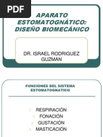Aparato Estomatognático