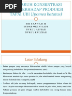 Download TAPE UBI by TriEka Herya SN106051482 doc pdf