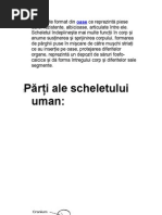 Spuneti Cateva Exemple Care Sunt Regionalismele Fonet Brainly Pdf