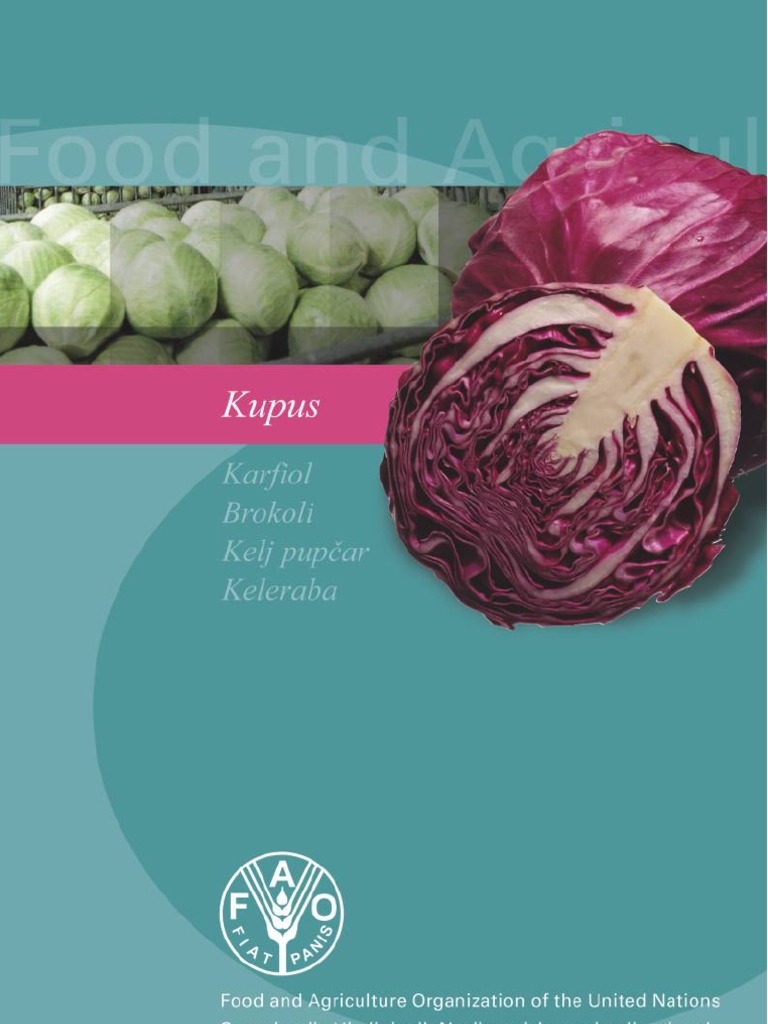 Kupus FAO | PDF