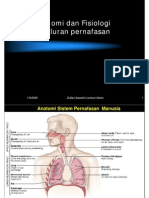 An Phys Respiratory System