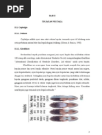 Download BAB II Case Cephalgia by George Tirta Dihatmo SN106084294 doc pdf