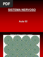 Aula 02 Neurofisiologia