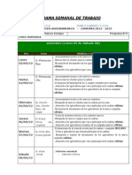 Programa Semanal de Trabajo