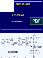 Pre Metabolisme 1