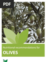 Download Olive Booklet by cobrabr SN106150243 doc pdf