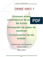 ENSAYO NRO 1 - Investigación Sobre Consistencia en Pulpas de Frutas