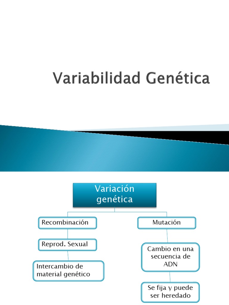 Variabilidad Genética y Mutaciones | PDF | Mutación | Biología ...