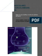 Farmacologia Relajantes Neuromusculares 1p 2012