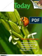 Download Rice Today Vol 11 No 4 by Rice Today SN106212342 doc pdf