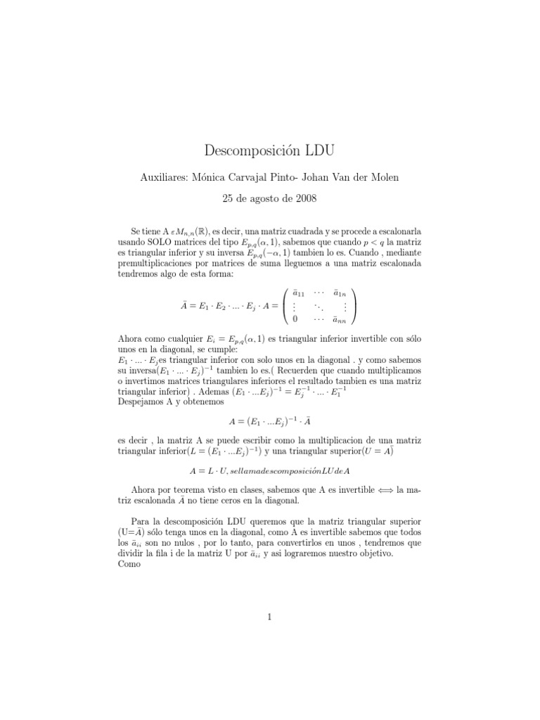 Descomposición LDU de Matrices | PDF | Matriz (Matemáticas) | Objetos ...