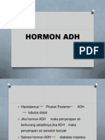 Hormon Adh