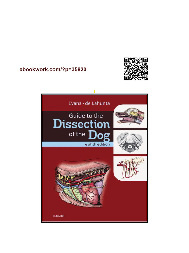 Guide To The Dissection of The Dog 8th Edition Edition Evans