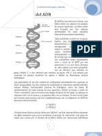 Genes y Genomas Trabajo Final