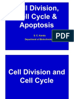 SC Kundu_Cell Division, Cell Cycle & Apoptosis (Two Lectures for Sci of Liv Sys-Autumn 2011)