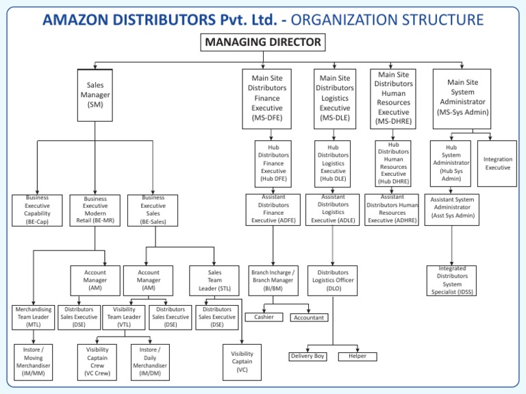 Amazon Distributors Organization Structure (Without DTC) PDF