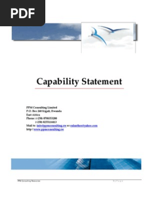 Capability Statement for PPM Consulting Limited