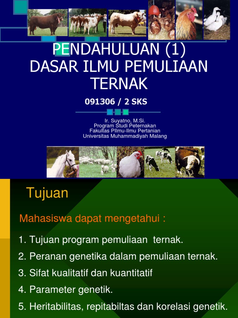 25+ Galeri Gambar Poster Pemuliaan Hewan Terlengkap | Postercov