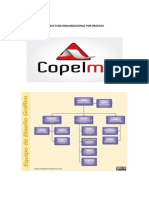 Estructura Organizacional Por Proceso