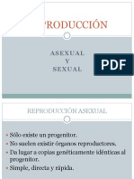 Reproducción Asexual y Sexual