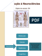 Aula 1 - Neurociencias12