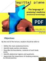 2 Anatomical Terms 207 