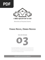 Vinho Novo Odres Novos-03