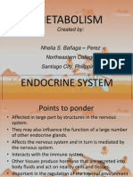 Endocrine System Metabolism