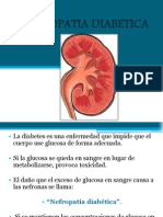 Nefropatía Diabética: Clasificación de Mogensen