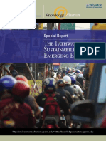 The Pathways to Sustainability in Emerging Economies