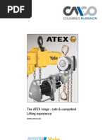 Download Pneumatic Chain Hoists - Yale Atex Catalog - Cosmo Petra - Safe Lifting Solutions by Safe Lifting Solutions SN106472320 doc pdf