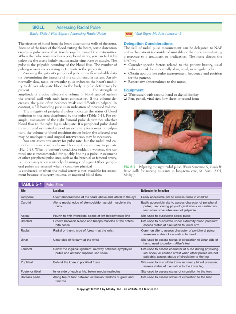 Assessing Radial Pulse Pulse Heart Free 30day Trial Scribd