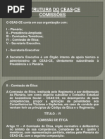 Conheça a estrutura das Comissões do CEAS-CE