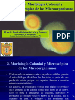 3. Morfologia Colonial y Microscopica de Los Mo