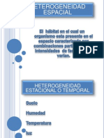 Heterogeneidad Espacial