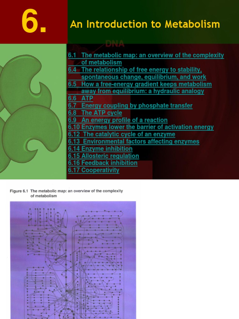 06 An Introduction To Metabolism | PDF