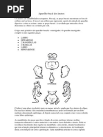 Download Entomologia Geral Aparelho Bucal Dos Insetos by Marcelo Ferri SN106542846 doc pdf