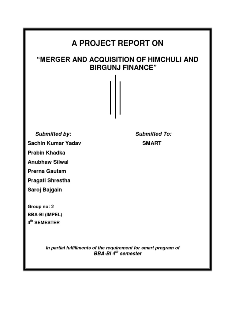 Himchuli-Birgunj Finance Merger Report | PDF