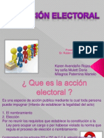 Accion Electoral Exp.