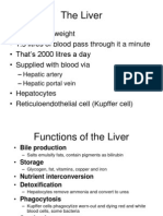 Physiology of Liver2