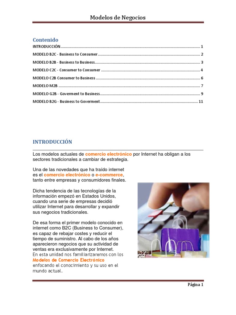 Tipos de Modelos de Negocios en E-commerce | PDF | Gobierno E ...