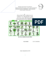 Catalogo de Plantas Medicinales-Ok