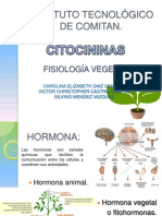 Expo Citocininas